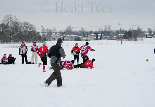 20130223-DSC 0611